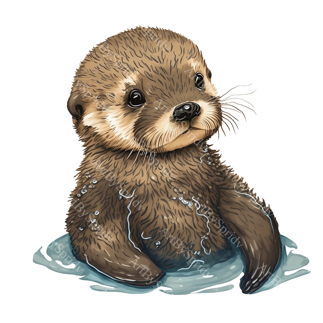 Baby Sea Otter PNG Clipart,transparent Animal Lover Print Kids Clip Art