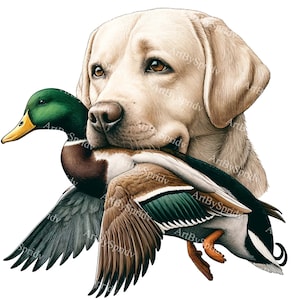 Labrador Retriever & Mallard Duck PNG Clipart, Dog/Bird Illustration, Transparent Digital Download for Sublimation,DIY Crafts Design Project