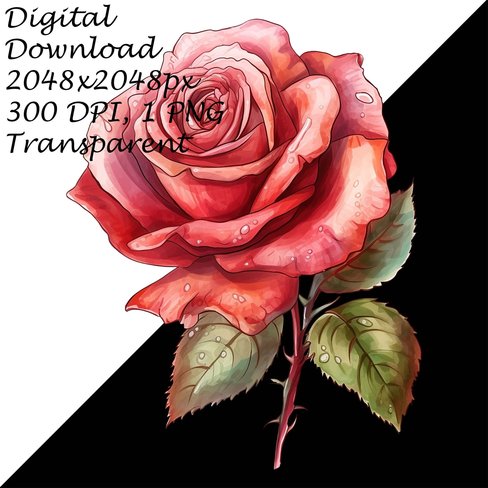 Elegant Red Rose Watercolor PNG Clipart, Transparent Floral Design