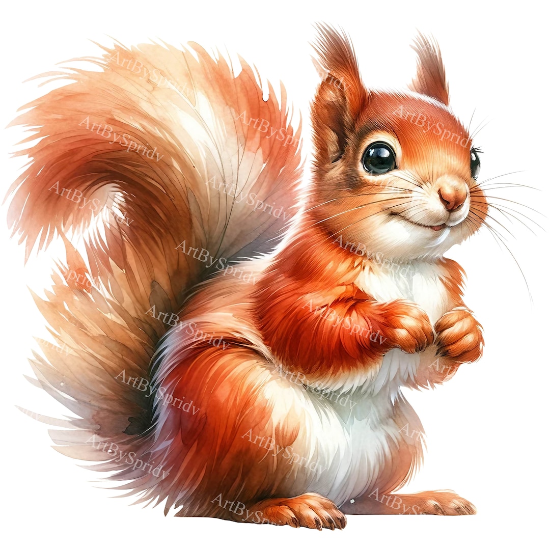 Watercolor squirrel clipart dynamic pose printable png for dtg t