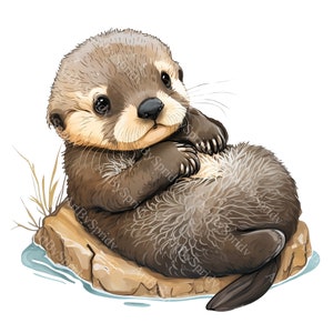 Baby Sea Otter PNG Clipart,Transparent Animal Lover Print Kids Clip Art,Commercial,Cute Cartoon Design,DIY Printable Sublimation T-Shirt,Mug