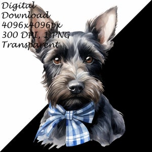 A Scottish Terrier Puppy Dog With Plaid Bow-Transparent 4 PNG Clipart-Printable T-Shirt, Mug, Tumbler Sublimation Clip Art, Commercial Use