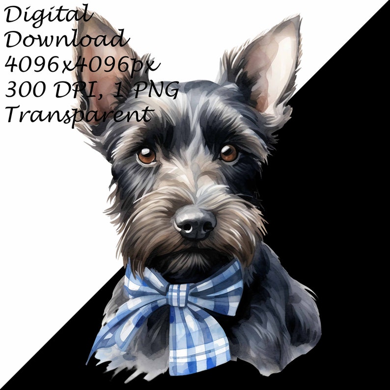 A Scottish Terrier Puppy Dog With Plaid Bow-Transparent 4 PNG Clipart-Printable T-Shirt, Mug, Tumbler Sublimation Clip Art, Commercial Use