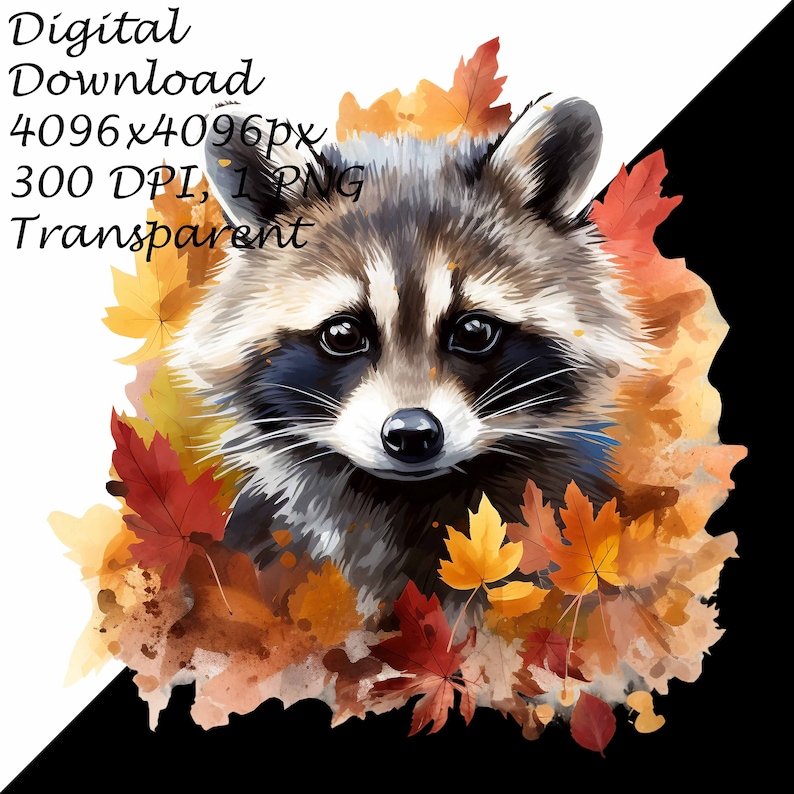 4 Cliparts Cute Raccoons Near Autumn Fall Leaves Transparent PNG ...