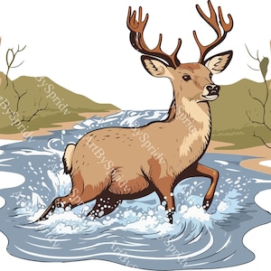 Ciervo cruzando un río. Clipart PNG transparente para manualidades con temática de vida silvestre, sublimación de camisetas y tazas, diseños para exteriores y álbumes de recortes