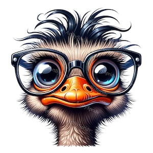 Clipart de avestruz divertido - Pájaro divertido con gafas PNG, arte digital para DTG, camiseta, taza, vaso, sublimación, álbum de recortes - Descargar