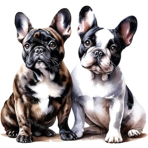 Funny French Bulldogs Watercolor Clipart - Printable PNG for DTG T-Shirts, Mugs, Tumblers, Sublimation, Scrapbooking -Digital Dog Art Design