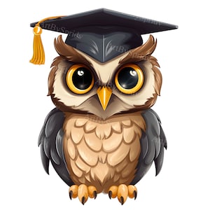 Wise Graduation Owl Clipart PNG, Cute Owl with Graduation Cap, Digital Grad Invitations, Cards, Decor, School Success Owl Clip Art,DIY Craft