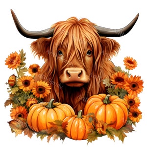 Vaca de las tierras altas de otoño PNG clipart con calabazas y girasoles, decoración de granja de otoño, linda ilustración rústica de acuarela para camisetas, tazas, manualidades de bricolaje