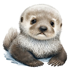 Baby Sea Otter PNG Clipart,Transparent Animal Lover Print Kids Clip Art,Commercial,Cute Cartoon Design,DIY Printable Sublimation T-Shirt,Mug