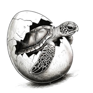 Tortuga marina bebé eclosión de huevos clipart - PNG transparente, descarga instantánea, ilustración de tortuga recién nacida para proyectos de diseños de manualidades DIY