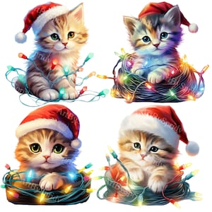 May include: Four adorable kittens wearing Santa hats are nestled in Christmas lights. The kittens are all different colours and have sweet expressions on their faces.
