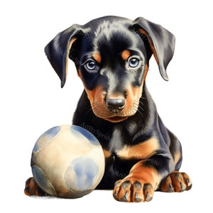 Cucciolo di cane Doberman acquerello con palla Fetch - Trasparente 4 PNG Clipart - T-shirt stampabile, tazza, Tumbler Sublimazione Clip Art, Commerciale