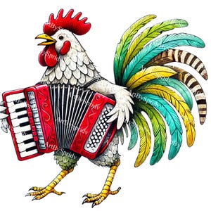 Op de afbeelding: Een witte haan met een rode kam en rode keellapjes speelt een rode accordeon met zwarte toetsen. De haan heeft een kleurrijke staart met groene, blauwe, gele en bruine veren.