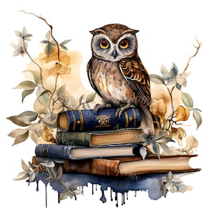 Vintage-inspired Owl Clipart on Branch: Digital PNG, Rustic Owl With ...