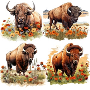Majestic Bison PNG Clipart Bundle-Hand-Drawn American Buffalo Graphics-Wildlife Illustration with Flowers for DIY Crafts, Sublimation