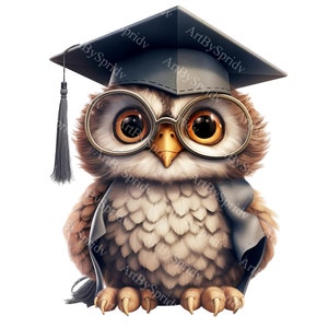 Graduation Owl Clipart | Cute Owl with Cap | Printable Sublimation PNG | Digital Download | Commercial Use | Craft & DIY Projects, Decor Art