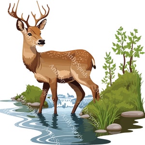 Ciervo junto a un río Clipart – PNG transparente para manualidades de bricolaje con temática de vida silvestre, camisetas DTG, impresiones de sublimación de tazas, diseños de decoración de exteriores, ilustraciones