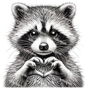 May include: A black and white illustration of a raccoon making a heart shape with its paws. The raccoon has a sweet expression on its face.