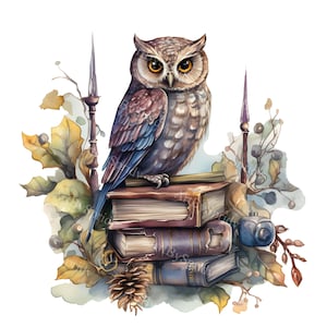 Búho vintage sobre una pila de libros viejos PNG Clipart, ilustración de pájaro con acuarela boho digital, ilustraciones de naturaleza retro, decoración única para el hogar, bricolaje