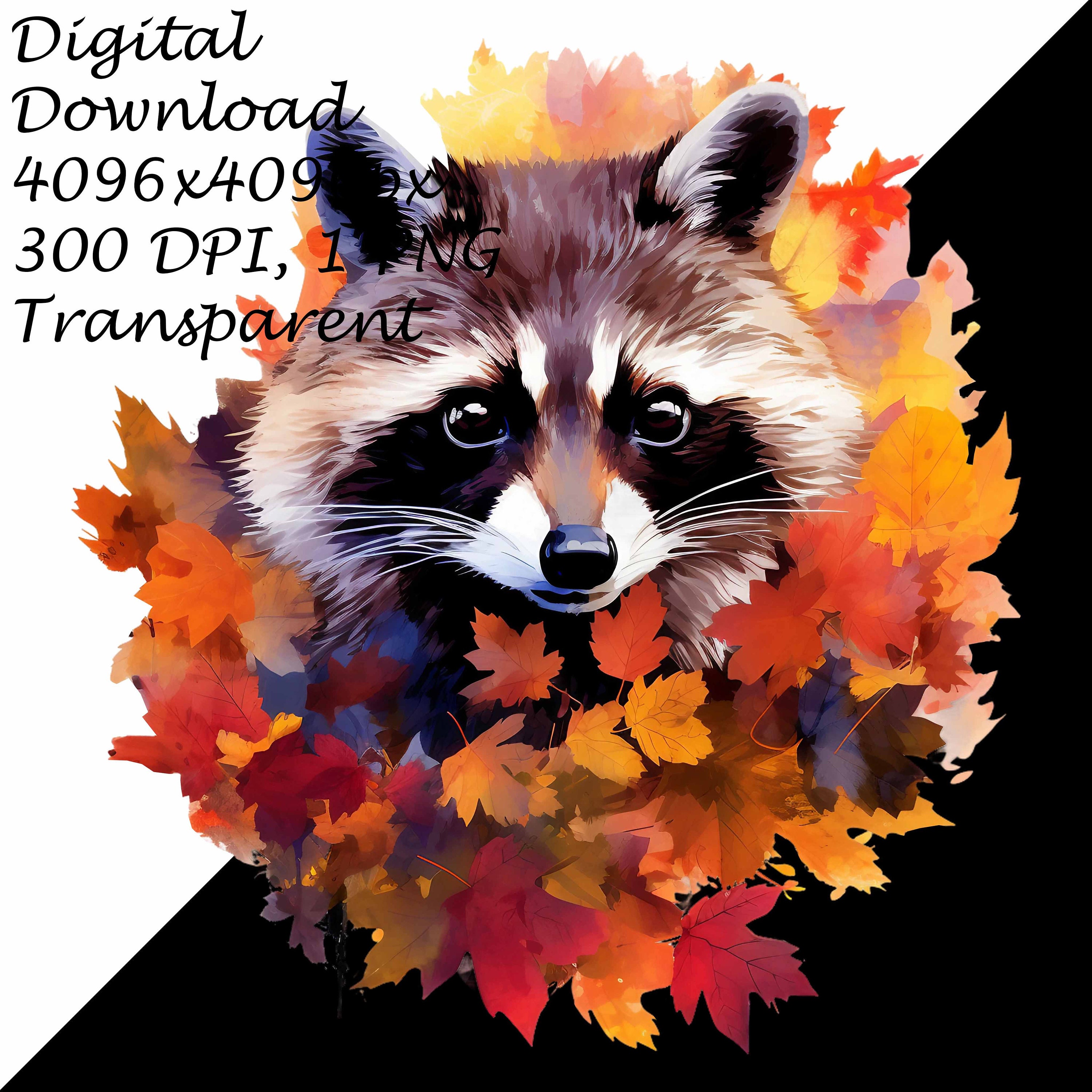 4 Cliparts Cute Raccoons Near Autumn Fall Leaves Transparent PNG ...