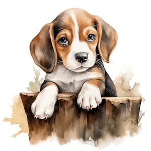 Watercolor Cute Beagle Puppy Dog - Transparent 4 PNG Clipart-Printable T-Shirt, Mug, Tumbler Sublimation Clip Art, Pet Lover Gift,Commercial