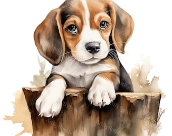 油絵　専用 花冠のかわいいビーグル犬 油絵 専用 花冠のかわいいビーグル犬