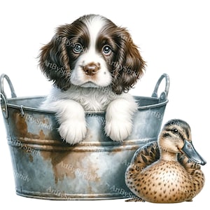 Puppy & Duck PNG Clipart: Adorable Springer Spaniel, Duckling, Digital Download for Printable Sublimation Craft, Perfect for DIY Projects