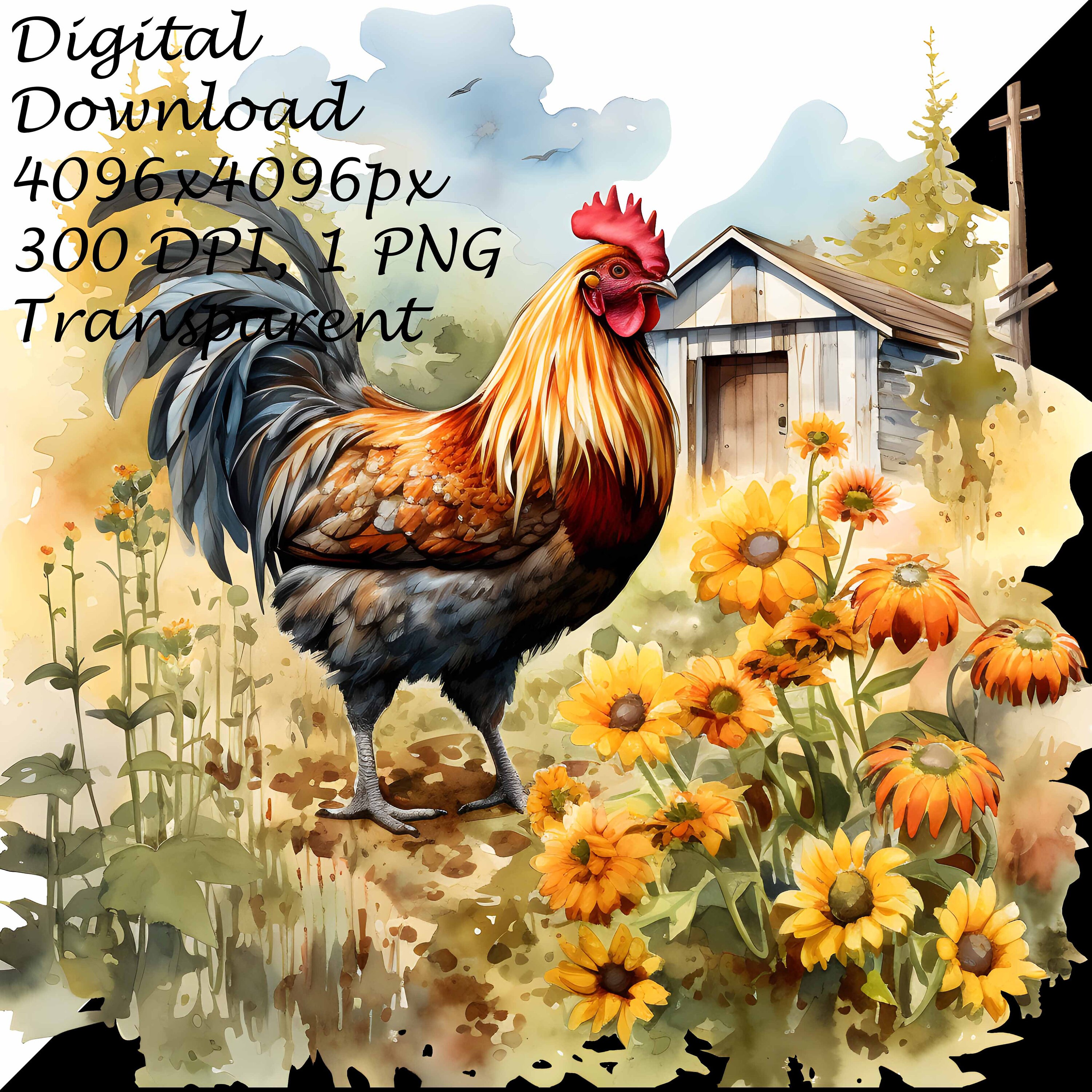 Rustic Chicken Vector Rustic Farmhouse Chicken PNG Clipart,rooster Among Sunflowers ...