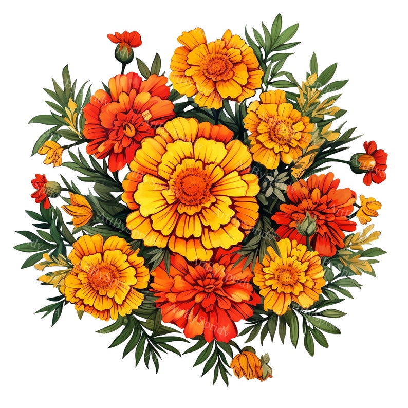 Bouquet of Marigold Blooms With Leave Transparent PNG Clipart,printable