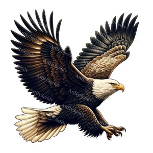 Águila realista en vuelo Clipart - Pluma detallada PNG para DTG, camisetas, tazas, vasos, álbumes de recortes, sublimación - Descarga de arte digital
