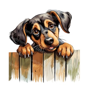 Adorable Dog Peeking Over Fence Transparent PNG Clipart, Cute Puppy Illustration, Printable T-Shirt Sublimation Design for DIY Craft Project