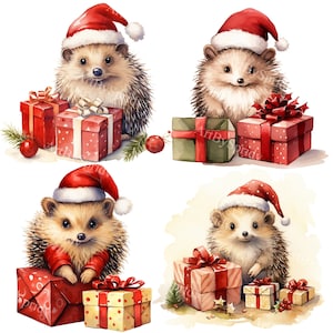Ensemble de 4 cliparts Noël hérisson PNG, hérissons en bonnets de père Noël et cadeaux, illustrations d'animaux de vacances festives pour cartes, décoration, travaux manuels
