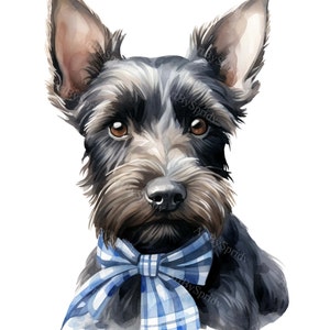 A Scottish Terrier Puppy Dog With Plaid Bow-Transparent 4 PNG Clipart-Printable T-Shirt, Mug, Tumbler Sublimation Clip Art, Commercial Use