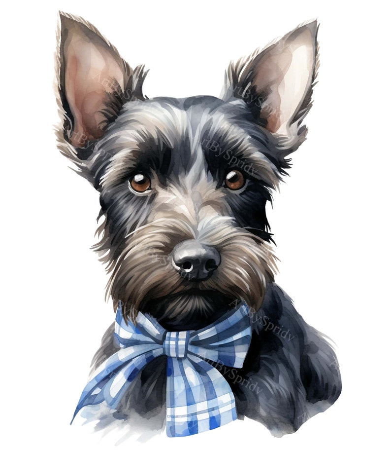 May include: Watercolor painting of a black and gray schnauzer dog wearing a blue and white plaid bow tie. The dog is looking directly at the viewer.