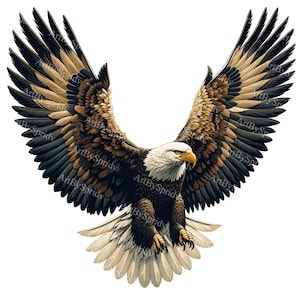 Águila realista en vuelo Clipart - Pluma detallada PNG para DTG, camisetas, tazas, vasos, álbumes de recortes, sublimación - Descarga de arte digital