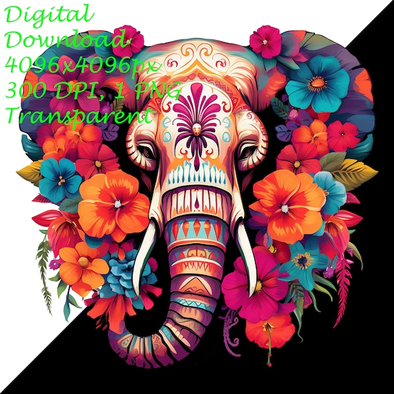 アート・デザイン・音楽 ELEPHANT BRAND HIRATA KAZUHISA Elephant Art – Winter Ice Skater Framed Canvas print – Vesano Design