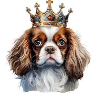 Cavalier King Charles Spaniel Puppy Dog Crown-Transparent 4 PNG Clipart-Printable T-Shirt, Mug, Tumbler Sublimation Clip Art, Commercial Use