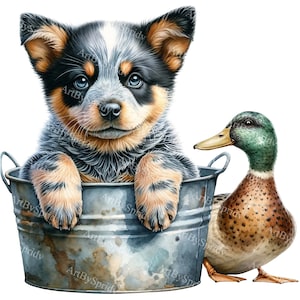 Adorable Australian Cattle Dog & Duck Clipart | Transparent PNG for Printable Sublimation | Pet Illustration | Digital Download Scrapbooking