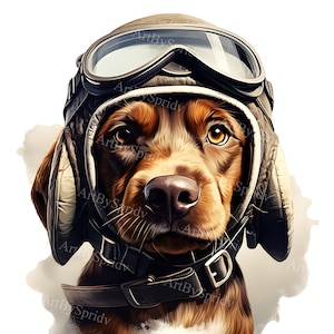 Adorable chien d'aviation en clipart casquette de pilote - clipart PNG transparent pour travaux manuels, T-shirt DTG, sublimation de tasse, idée cadeau art numérique