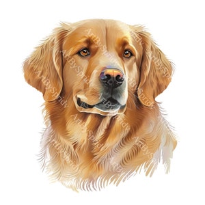 Golden Retriever Dog PNG Clipart, Digital Transparent Clip Art for T-Shirt, Mug Sublimation, Pet Custom Dog Decor, Animal Lovers, DIY Craft