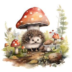 Hérisson de la forêt enchantée des cliparts numérique, Illustration PNG Transparente lunatique des bois, sublimation pour scrapbooking et créations DIY, Art déco