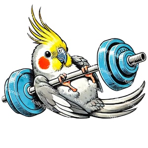 Funny Cockatiel Gym PNG, Weightlifting Bird Clipart, Transparent Workout Animal Illustration, Fitness Parrot Art for T-Shirts & Sublimation