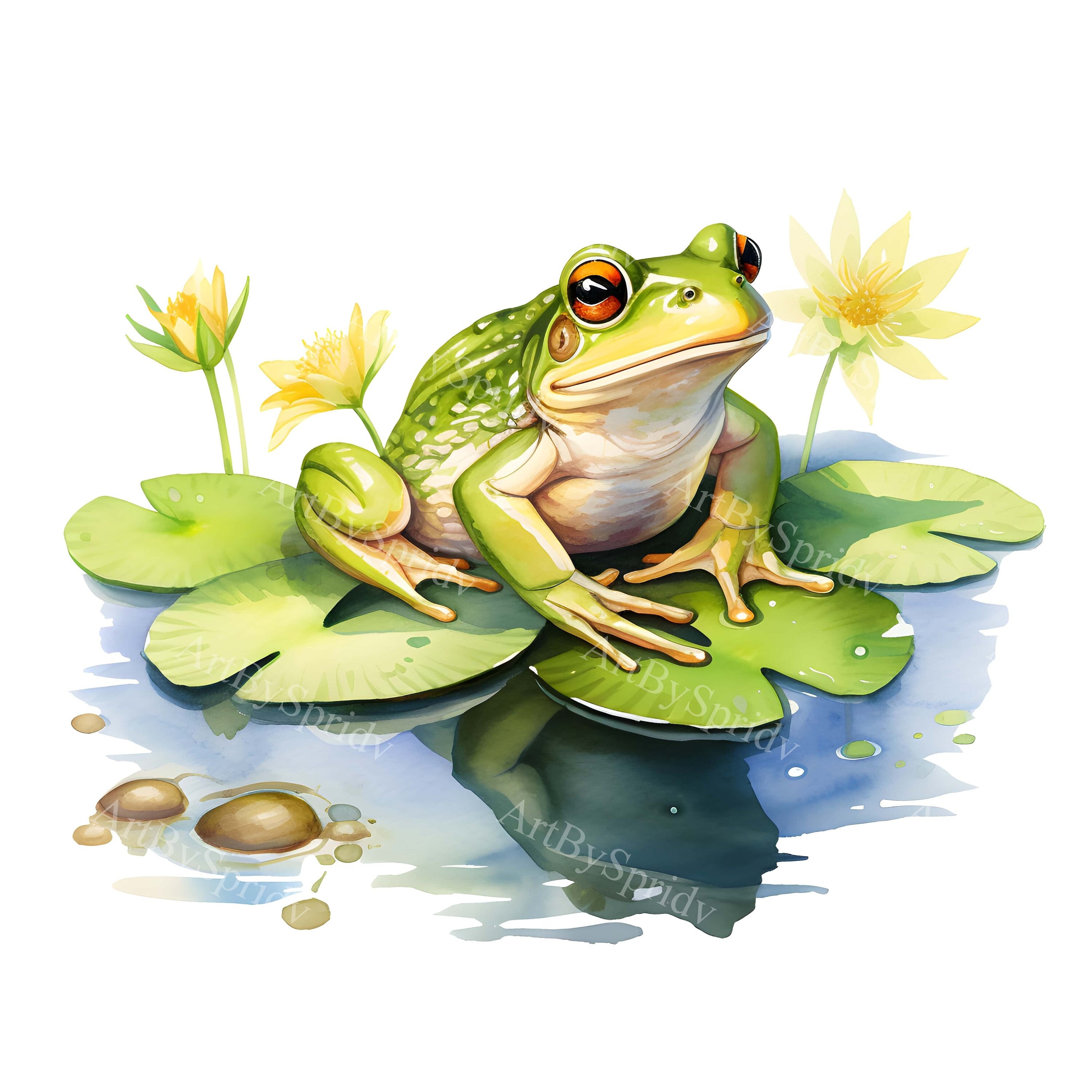 Frogs On Lily Pads Drawings