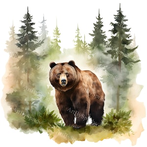 Aquarel beer met hoge pijnbomen en bos transparante PNG clipart-afdrukbare T-shirt, mok sublimatie Clip Art-commercieel, digitale download