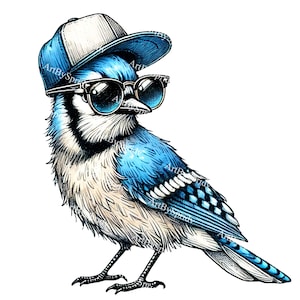 Cool Blue Jay Bird png-afbeelding met zonnebril en pet | Trendy hipster vogel transparant ontwerp voor sublimatie, stickers, T-shirts, decor