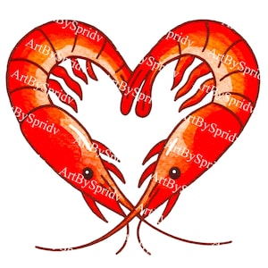 May include: A watercolor illustration of two red shrimp arranged in a heart shape. The shrimp are detailed with orange and white highlights, and the image has a playful, romantic theme.