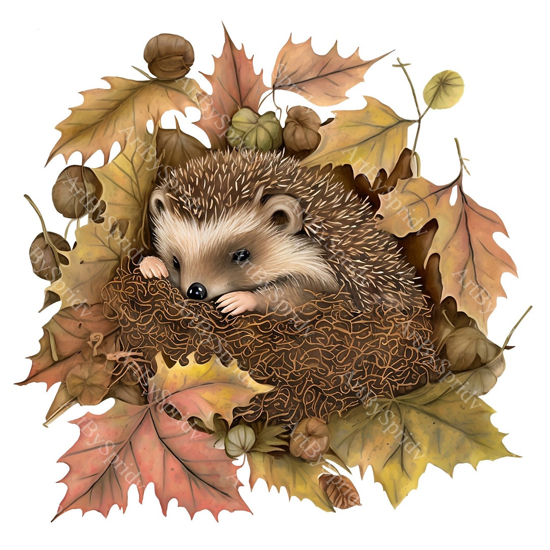 Adorable Baby Hedgehog in Autumn Leaves PNG Clipart, Cozy Transparent ...