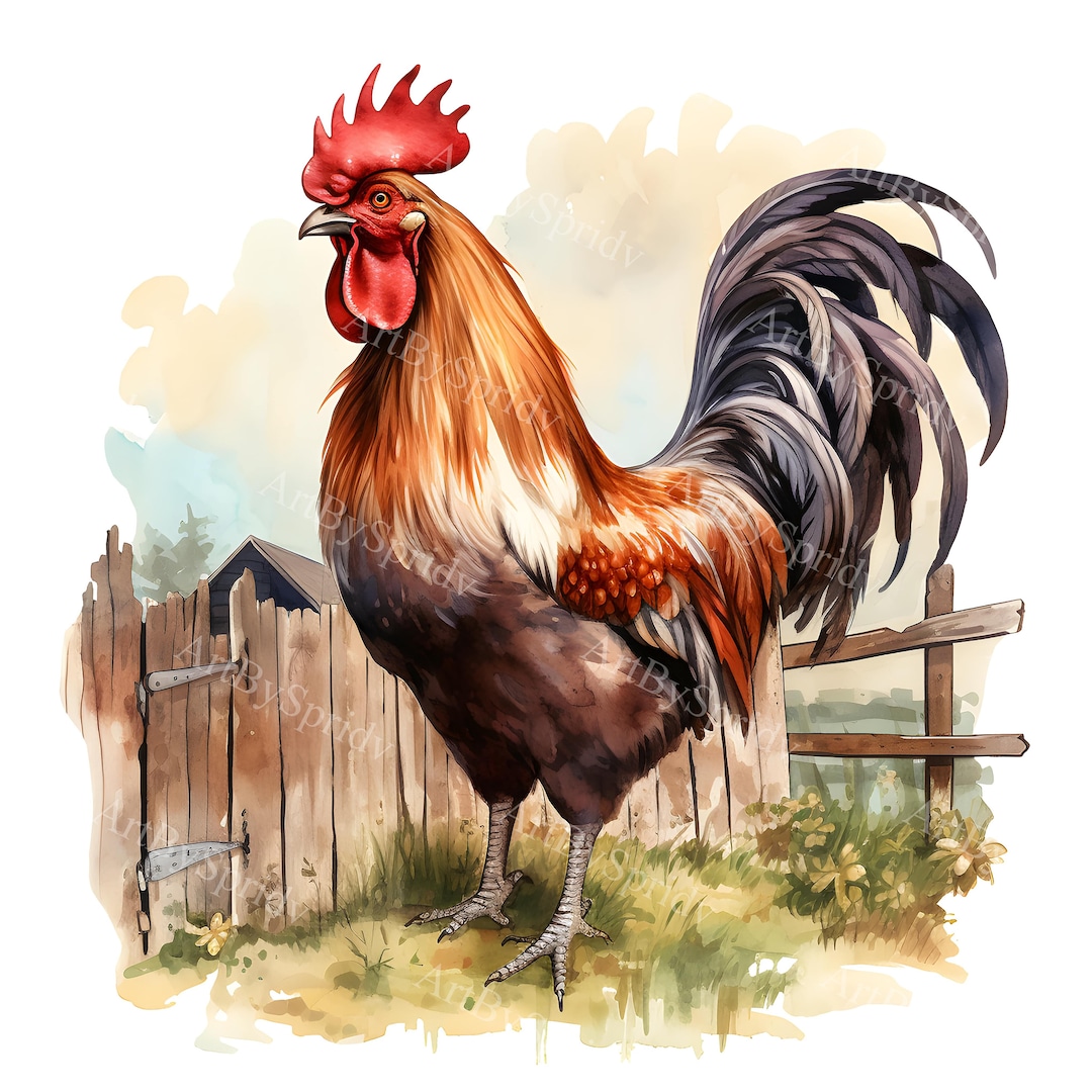Rustic Rooster Vector Stunning Realistic Rooster Clipart PNG | Farmhouse Decor | Transparent ...