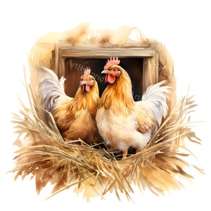 Gallinero rústico PNG Clipart – Gallinas dibujadas a mano en nido PNG para manualidades, carteles y diseños digitales con temática de granja para camisetas, tazas DTG